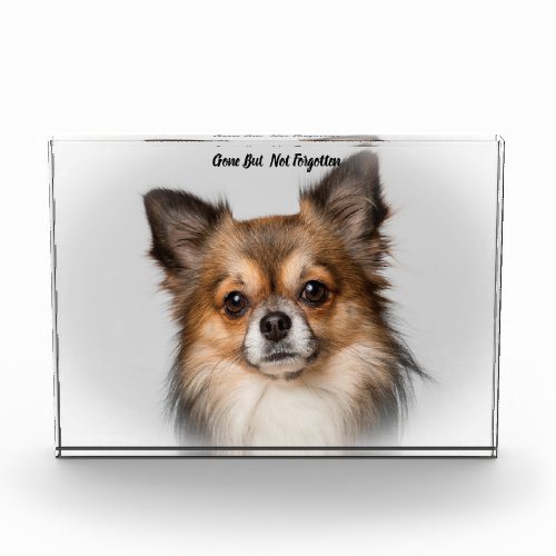 Chihuahua Dog Acrylic Award