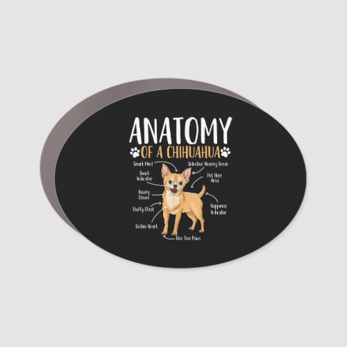 Chihuahua Dog Anatomy Car Magnet