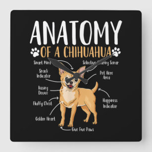Chihuahua Dog Anatomy Square Wall Clock