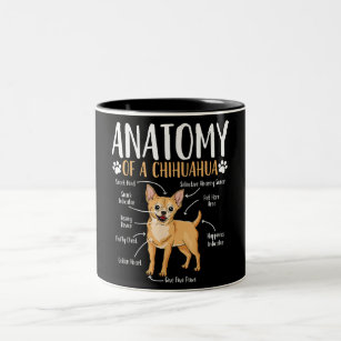 Chihuahua Dog Anatomy Two-Tone Coffee Mug