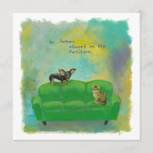 Chihuahua dog and cat on sofa fun original art invitation