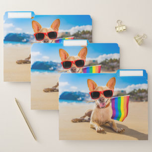 Chihuahua Dog  at the Beach File Folder