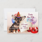 Chihuahua dog birthday party invitation (Back)