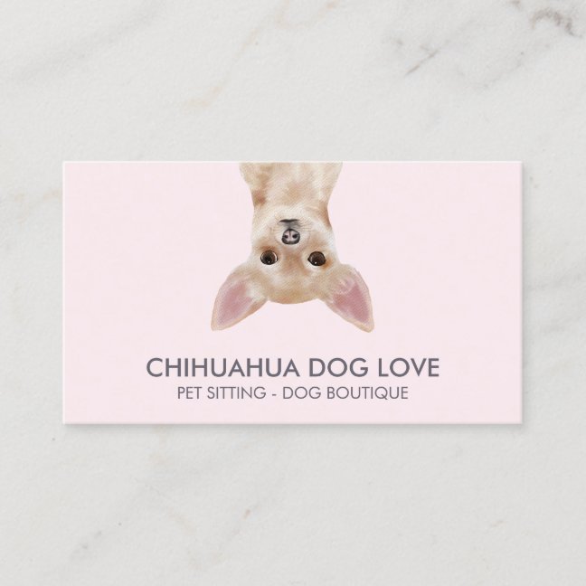 Chihuahua Dog Business Card