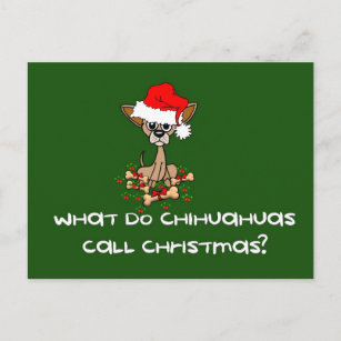 Chihuahua Dog Christmas Holiday Postcard