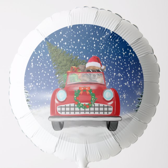  Chihuahua Dog Driving Car In Snow Christmas Balloon (Front)