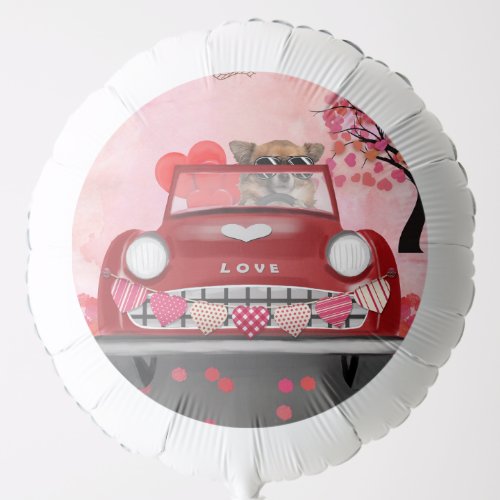 Chihuahua Dog Driving Car with Hearts Valentines Balloon