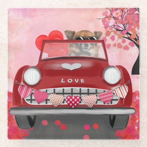 Chihuahua Dog Driving Car with Hearts Valentines  Glass Coaster