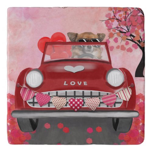 Chihuahua Dog Driving Car with Hearts Valentines  Trivet