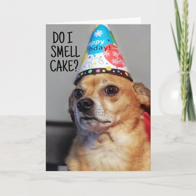 CHIHUAHUA DOG FUNNY BIRTHDAY CARD (Front)
