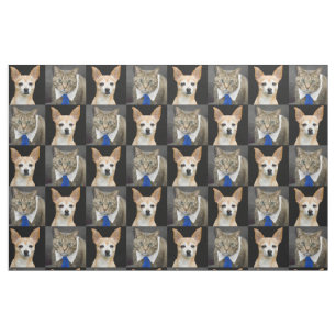 Chihuahua Dog Gray Tabby Cat With Blue Tie Pattern Fabric