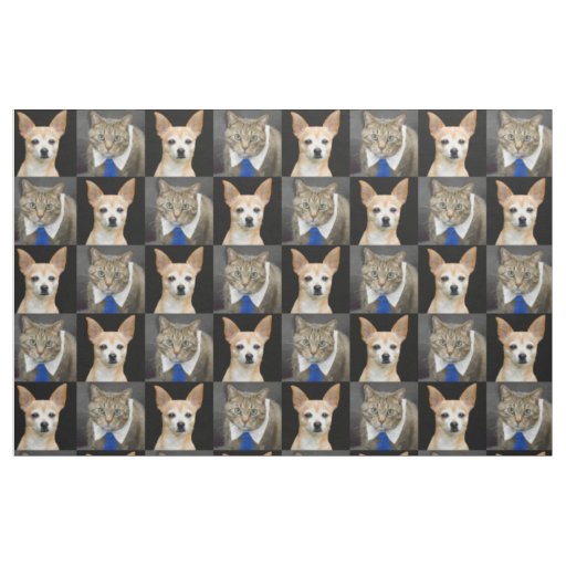Chihuahua Dog Gray Tabby Cat With Blue Tie Pattern Fabric