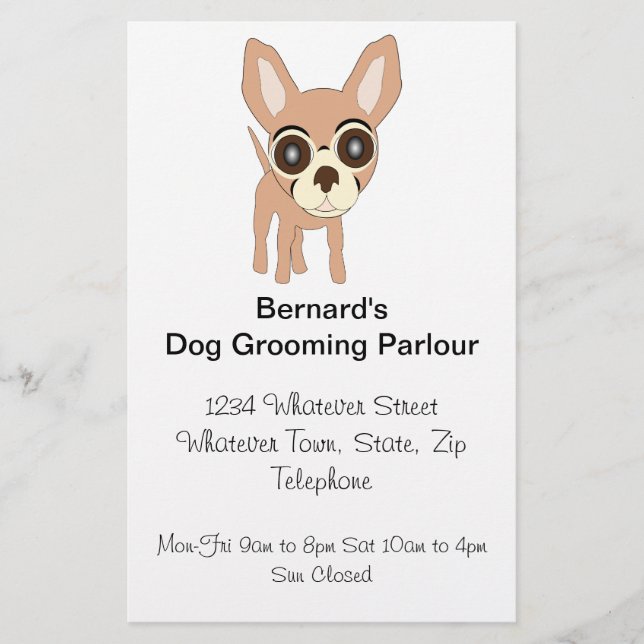 Chihuahua Dog Grooming Parlour Flyer (Front)