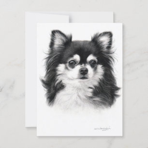 Chihuahua Dog Hand Painted Artwork Postcard