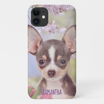 Chihuahua Dog Iphone 11 Case by ritmoboxer at Zazzle