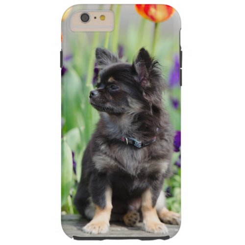Chihuahua dog lovers photo cute iphone 6 case