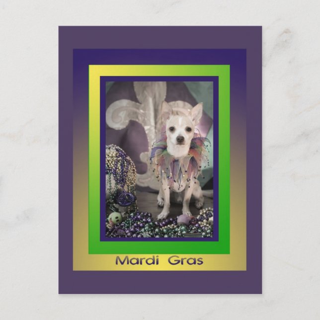 Chihuahua Dog Mardi Gras Postcard (Front)