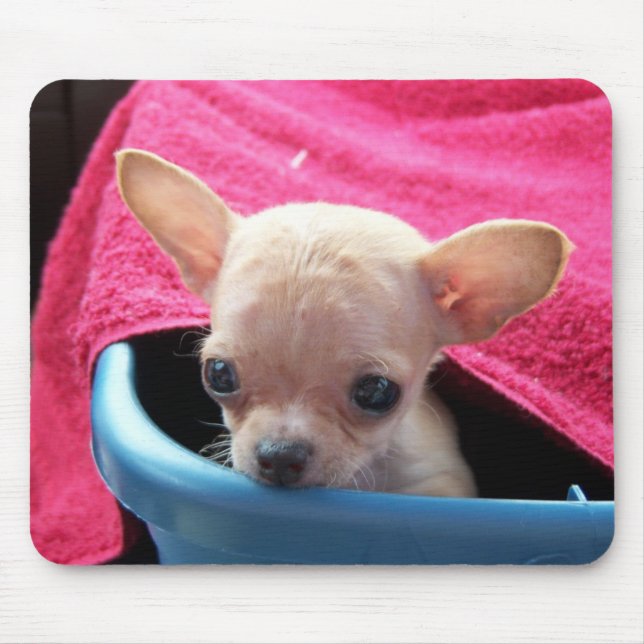Chihuahua Dog Mousepad (Front)