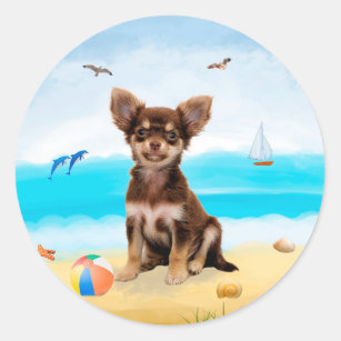 Chihuahua Dog on Beach Classic Round Sticker
