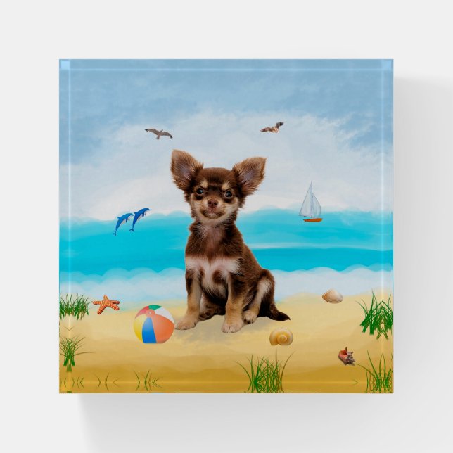 Chihuahua Dog on Beach Paperweight (Front)
