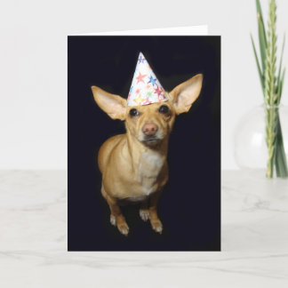Chihuahua Dog Part Hat Birthday Greeting Card