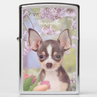 Chihuahua dog personalized zippo lighter