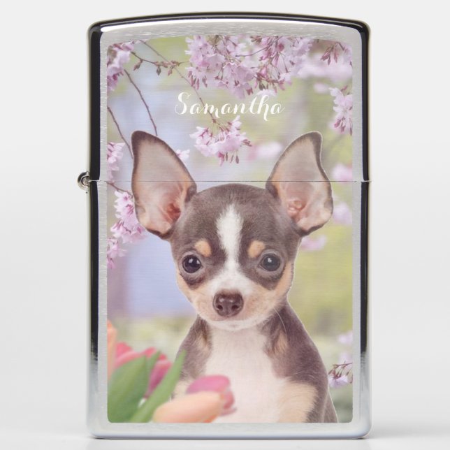 Chihuahua dog personalized zippo lighter (Front)