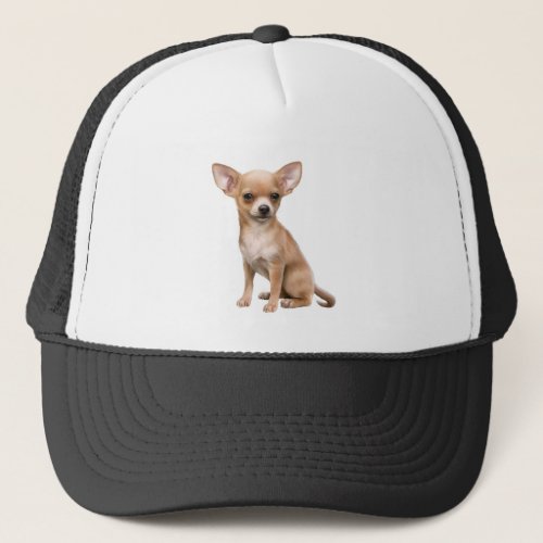 Chihuahua Dog Pet Animal Custom  Trucker Hat