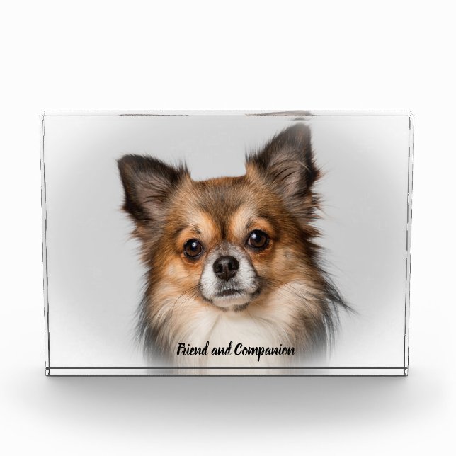 Chihuahua Dog. Photo Block (Front)