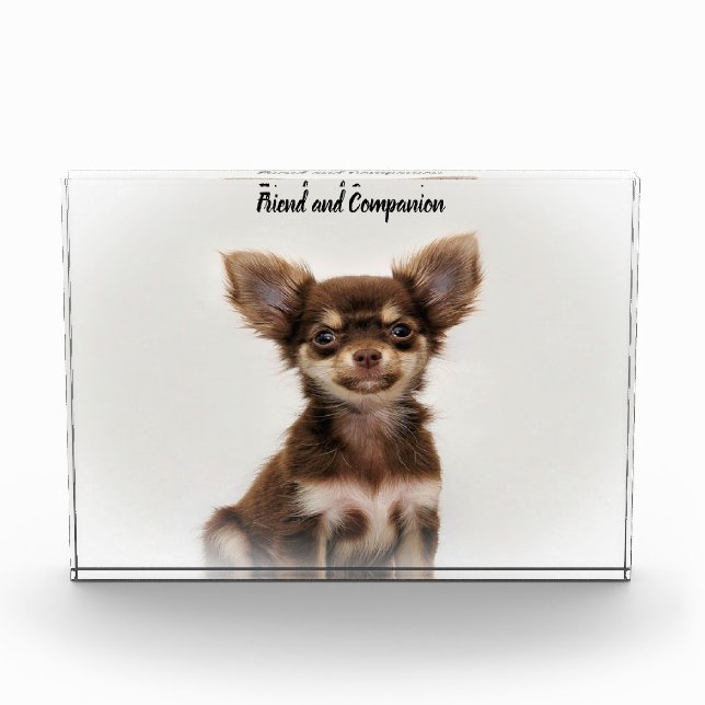 Chihuahua Dog. Photo Block (Front)