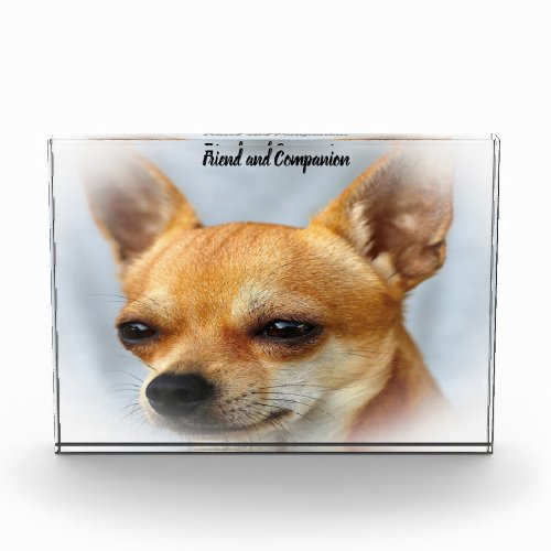 Chihuahua Dog Photo Block