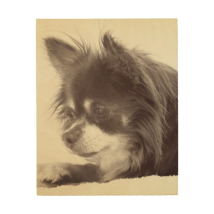 Chihuahua Dog Portrait Wood Wall Decor