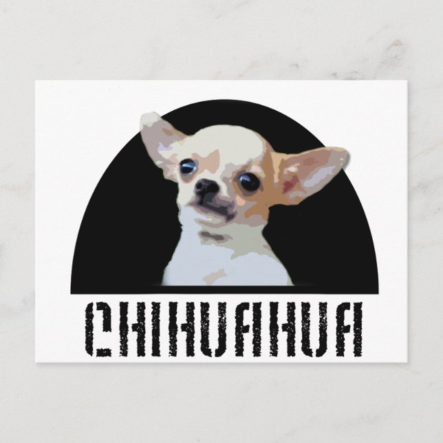 Chihuahua Dog Postcard (Front)