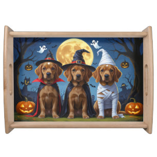 Chihuahua Dog Pumpkin Halloween Funny Serving Tray