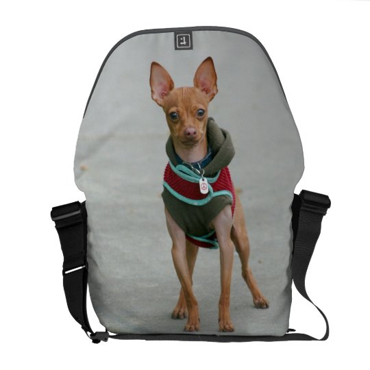 Chihuahua dog rickshaw messenger bag