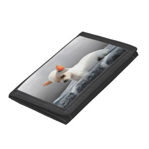 Chihuahua Dog Sitting Dog Portrait Art Painting Tri-fold Wallet