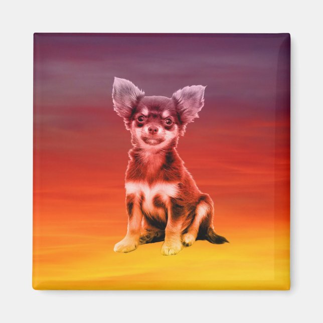 Chihuahua Dog Sitting On Beach Magnet (Front)