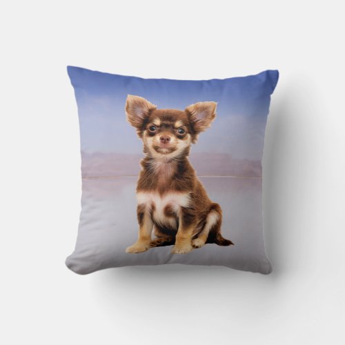 Chihuahua Dog Sitting On Beach Throw Pillow