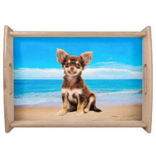 Chihuahua Dog Sitting on Tropical Beach Serving Tray