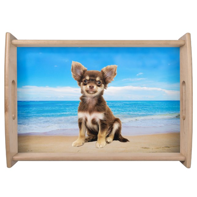 Chihuahua Dog Sitting on Tropical Beach Serving Tray (Front)