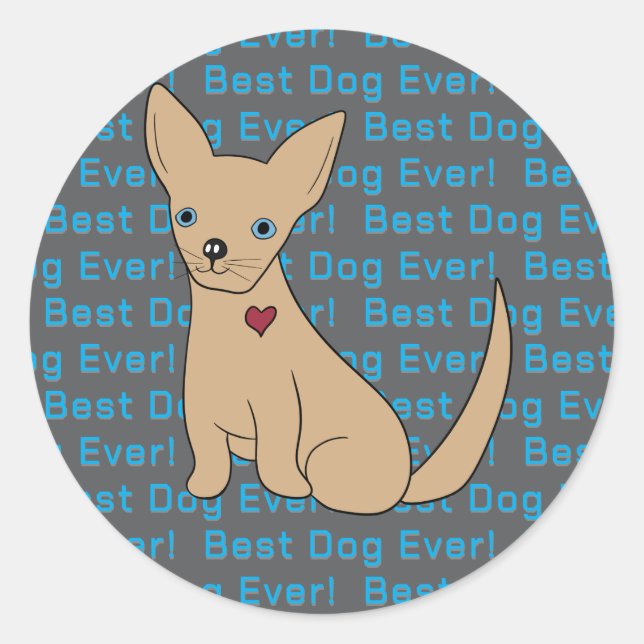 Chihuahua Dog Sticker Best Dog Ever!  (Front)