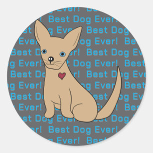 Chihuahua Dog Sticker Best Dog Ever! 