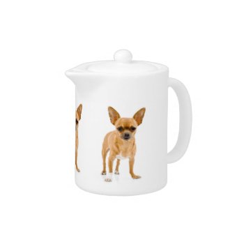 Chihuahua Dog Teapot by walkandbark at Zazzle