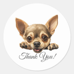 Chihuahua Dog Thank You Classic Round Sticker