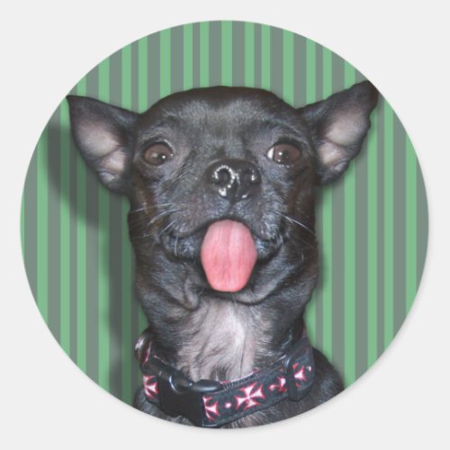 Chihuahua Dog Tongue Classic Round Sticker