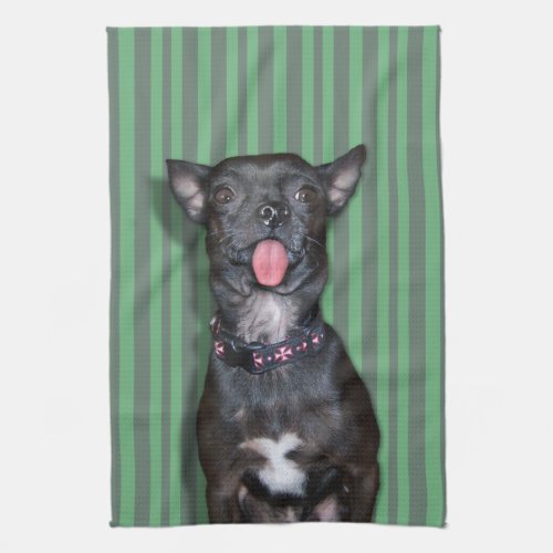 Chihuahua Dog Tongue Kitchen Towel