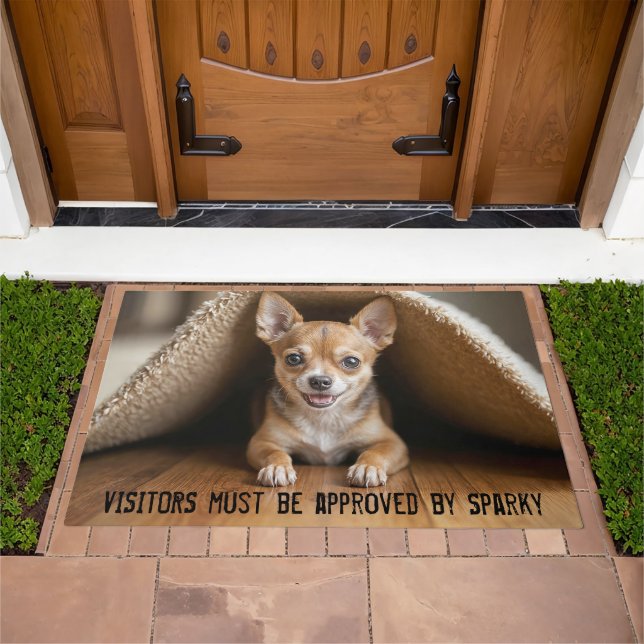 Chihuahua Dog Under a Rug (Outdoor)