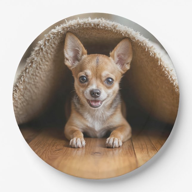 Chihuahua Dog Under a Rug Paper Plates (Front)