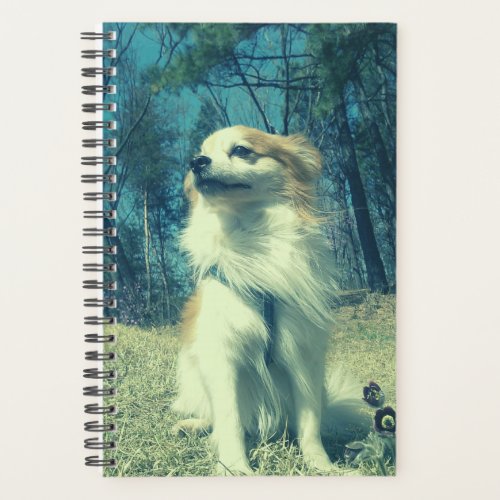 Chihuahua _ Dog Walker Planner