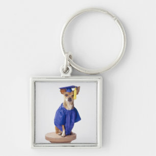 Chihuahua dog wearing graduation uniform, studio keychain